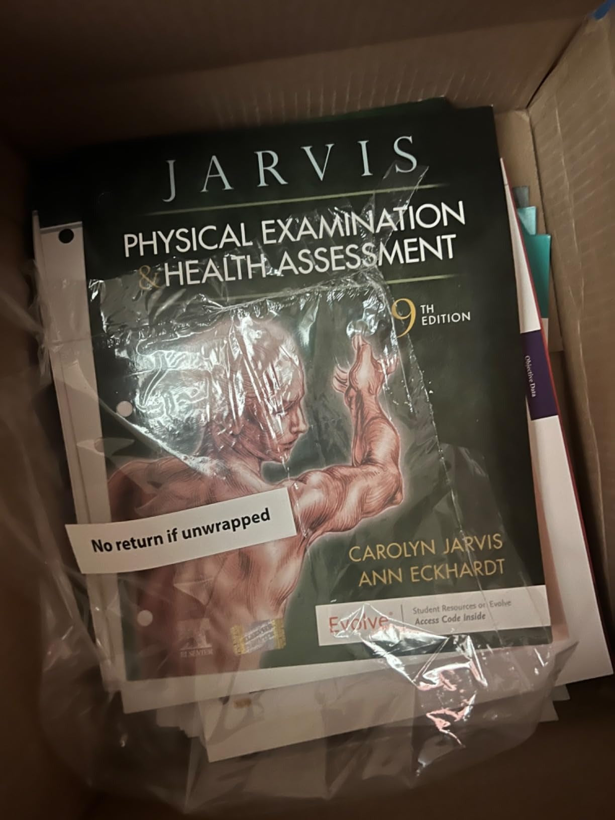 Physical Examination and Health Assessment 9th Edition